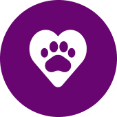 The Kindness Promise